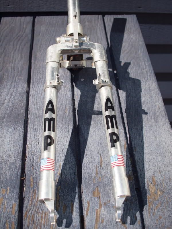 AMP research forks???